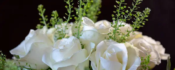 白色的婚礼玫瑰在黑色背景下紧密相连 图库图片