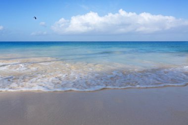 Karayip kumlu sahilinde yumuşak bir mavi okyanus dalgası. Seyahat arkaplanı kavramı.