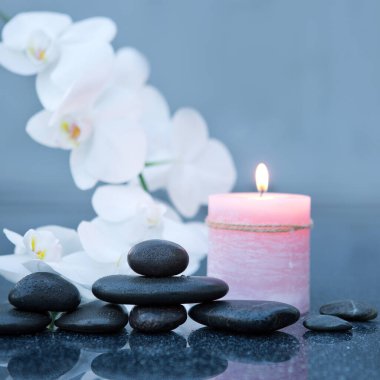 Gri arkaplanda beyaz orkide çiçekleri ve spa taşları .