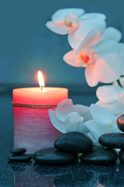 Gri arkaplanda beyaz orkide çiçekleri ve spa taşları .