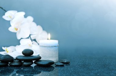 Gri arkaplanda beyaz orkide çiçekleri ve spa taşları .