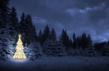 Kış ormanlarında ışıkları ve gri gökyüzü olan Noel ağacı. Noel kartı..