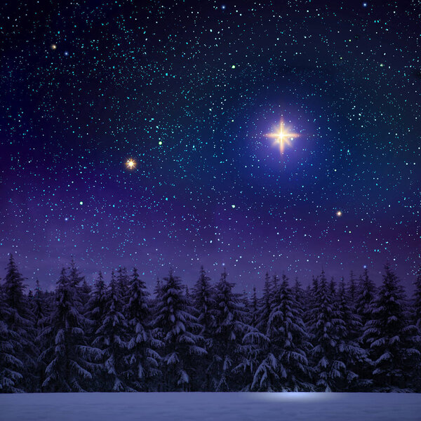 Merry Christmas and happy New Year background with winter forest on snow.