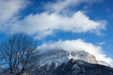 Avusturya 'da kış ağacı ve kar Alp dağlarını kapladı.