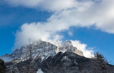 Avusturya 'da kış ağaçları ve kar Alp dağlarını kapladı.