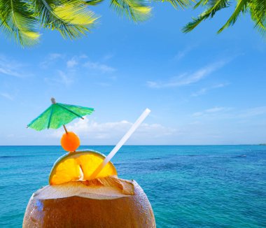 Yeşil palmiyeli ve egzotik kokteylli Karayip plaj kolajı