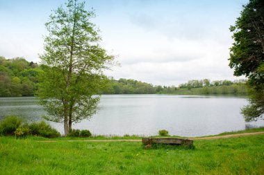Nehrin yakınındaki çayırda ağaçlı bir bahar sabahı..