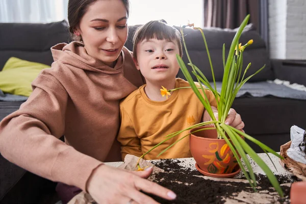Caucasian mother teaching her little male child with genetic disorder to replacing flowers to the pots at home. Family and happy childhood concept