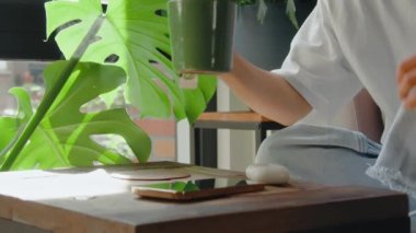Asyalı bir kadın akıllı telefonuyla masadan bir fincan sıcak çay alıp evde dinleniyor. Halk yaşam tarzı konsepti