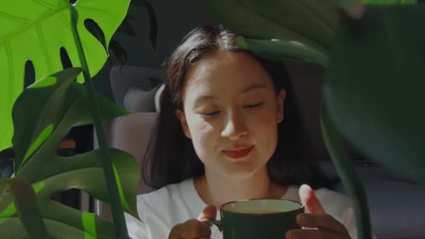 브루넷 여성은 창가에 아파트에서 뜨거운 커피를 마시고 개념에 사람들 — 비디오