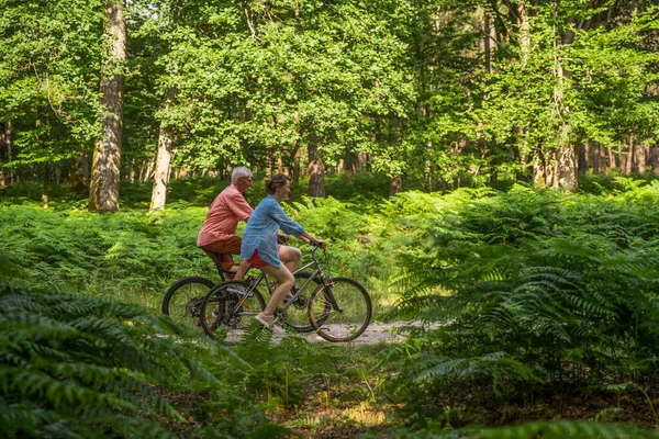 Elderly father and his daughter spending time together at the bicycles while enjoying of green nature. Positive people relaxing at the forest