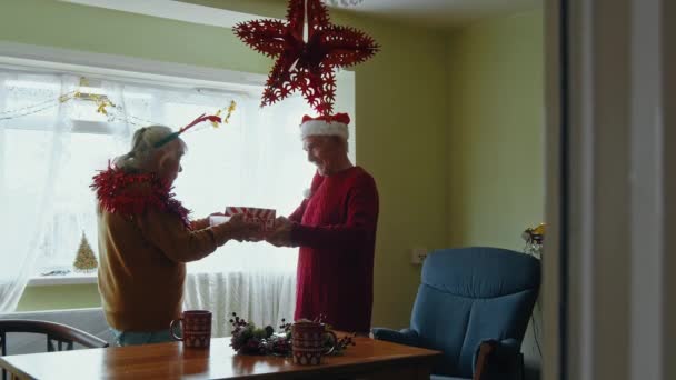 Pareja Ancianos Festivos Intercambiando Regalos Disfrutando Regalos Navidad Estilo Vida — Vídeos de Stock