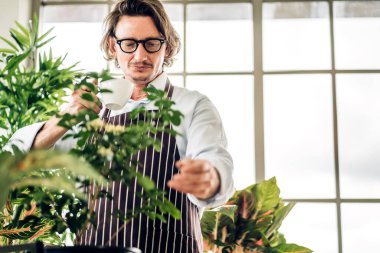 Mutlu bahçıvan kıdemli yaşlı adam bahçedeki küçük ağaçla ilgilenen çiçek sulama ve bahçeyle bahçeye bakıyor. Emeklilik kavramı.