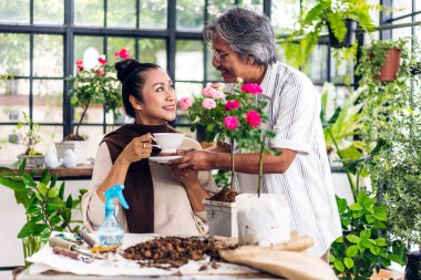 Mutlu bahçıvan yaşlı bir çift bahçedeki küçük ağaçla ilgilenen saksı bitkileriyle çiçek sulama ve bahçıvanlığa bakıyor.