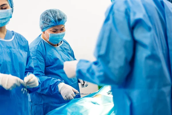 Professionell Anestesiolog Läkare Medicinska Team Och Assistent Förbereder Patienten För — Stockfoto