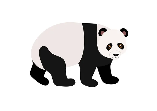 Vektoros Illusztráció Rajzfilm Panda Elszigetelt Fehér Background — Stock Vector