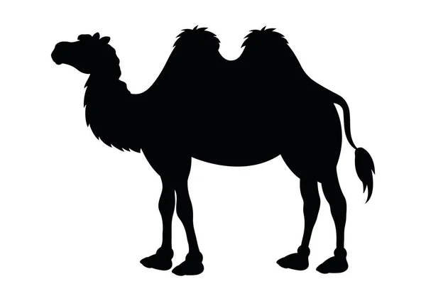 Silhueta Camelo Silhueta Camelo Preto Fundo Branco — Vetor de Stock