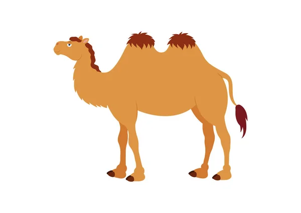 Personaje Dibujos Animados Camello Aislado Vector Fondo Blanco — Vector de stock