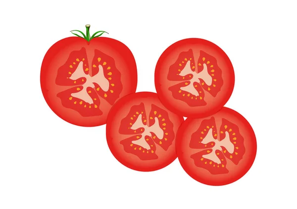 Setengah Dari Tomat Dan Potongan Vektor Tomat Clipart - Stok Vektor
