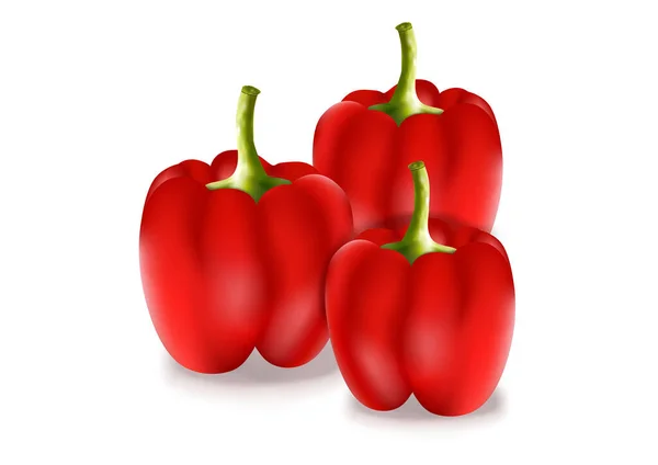 Realista Red Pepper Vector Ilustração Três Pimentas Vermelhas —  Vetores de Stock