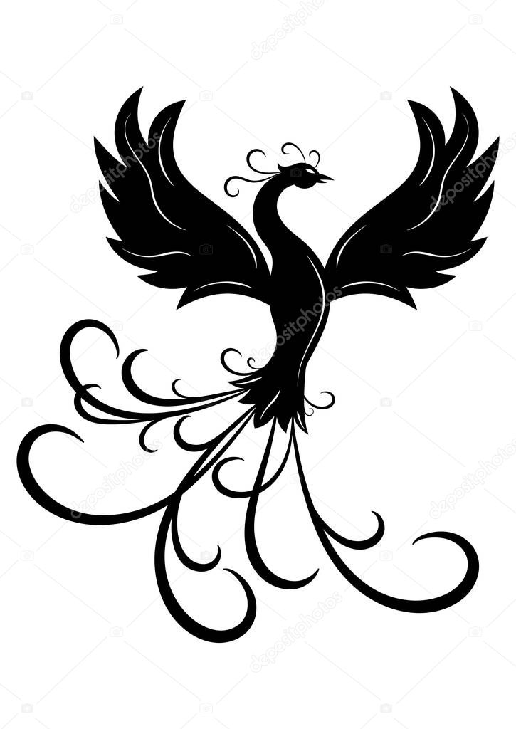 Phoenix Bird Vector Illustration On White Background