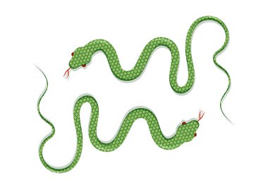 Yılan Vektörü Düz Tasarımı beyaz arka planda izole edildi. İki Yeşil Yılanın Vektör İllüstrasyonu