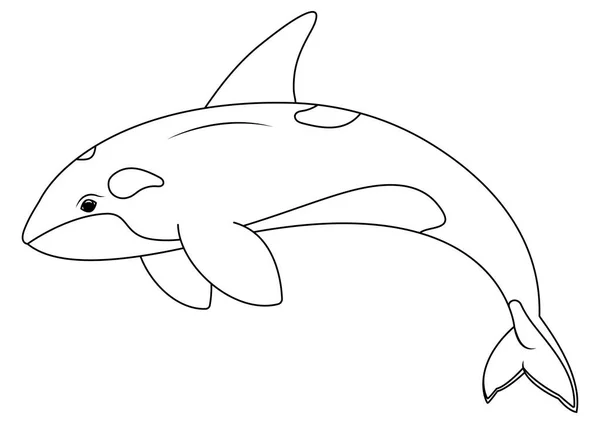 Black White Orca Cartoon Character Vector Coloring Page Cartoon Orca — Stock Vector