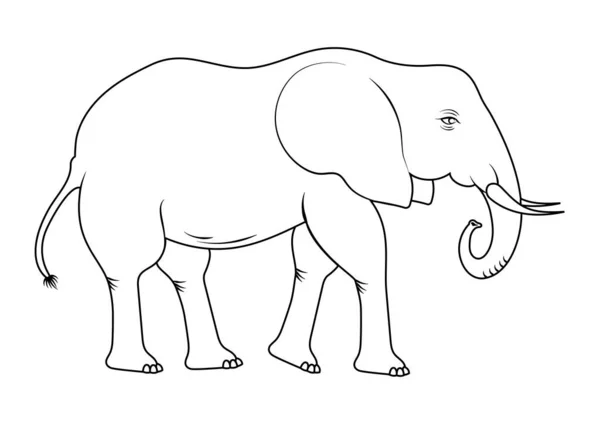 Coloring Page Elephant Cartoon Character Vector — Stock Vector