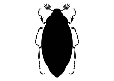 Siyah ve Beyaz Mayıs Böceği Clipart Vektörü Beyaz Arkaplanda izole edildi