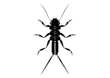 Siyah ve Beyaz Taş Devri Peri Böceği Clipart Vektörü Beyaz Arkaplanda izole edildi