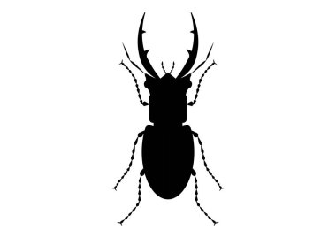 Siyah ve Beyaz Dev Geyik Böceği Clipart