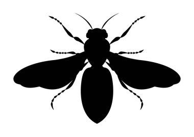 Siyah ve Beyaz Bal Arısı Vektörü Clipart