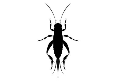 Siyah ve Beyaz Saray Kriket Turnuvası