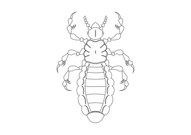 Siyah ve Beyaz Bitli Clipart Vektörü Beyaz Arkaplanda izole edildi. Bir Bitin Renk Sayfası