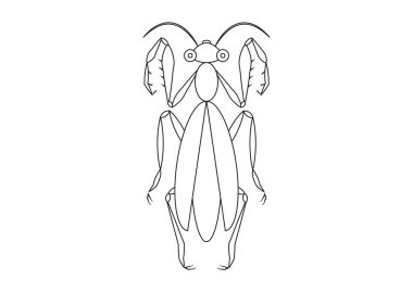 Siyah ve Beyaz Peygamberdevesi Clipart. Bir Çekirgenin Renklendirme Sayfası