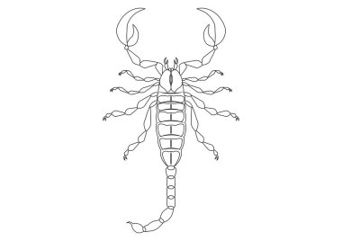 Siyah ve Beyaz Akrep Clipart Vektörü Beyaz Arkaplanda izole edildi. Bir Akrebin Renk Sayfası