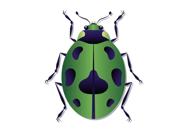 Green Beetle Vector Art Zelená Beruška Clipart Izolované Bílém Pozadí — Stockový vektor