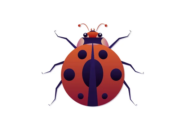 Ladybug Vector Art Flat Style Ladybug Clipart Izolované Bílém Pozadí — Stockový vektor