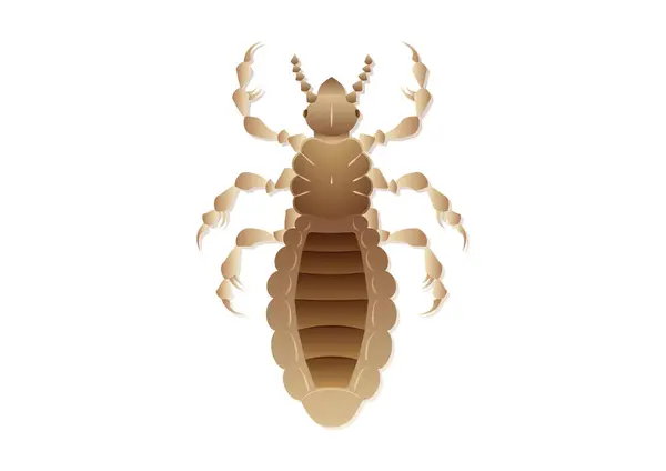 Louse Insect Vector Art Απομονωμένη Λευκό Φόντο — Διανυσματικό Αρχείο