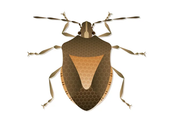 Stink Bug Vector Art Isolé Sur Fond Blanc — Image vectorielle
