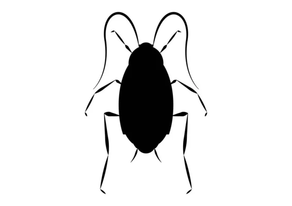 Clipart Vecteur Cafard Oriental Noir Blanc Isolé Sur Fond Blanc — Image vectorielle