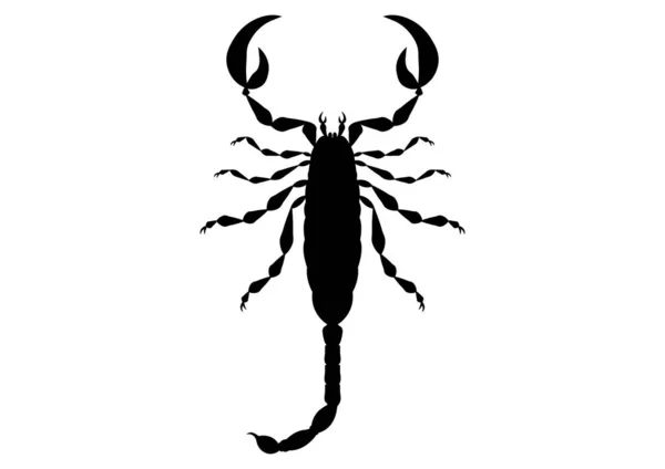 Scorpion Noir Blanc Clipart Vecteur Isolé Sur Fond Blanc — Image vectorielle