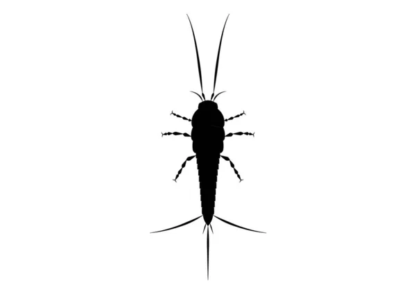 Μαύρο Και Άσπρο Thysanura Insect Vector Clipart — Διανυσματικό Αρχείο