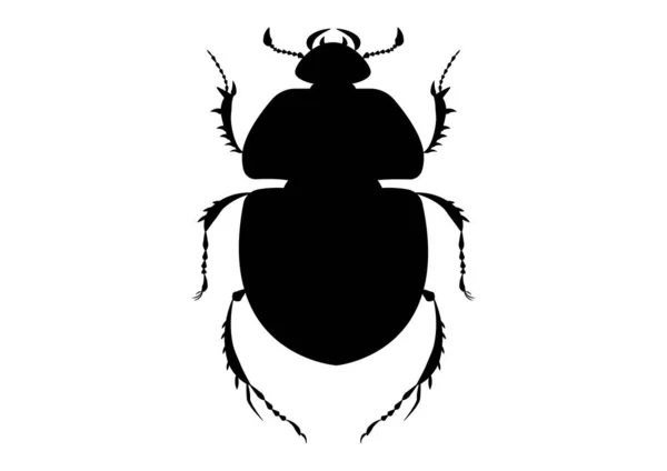 Black White Trypocopris Vernalis Beetle Silhouette — Stockový vektor