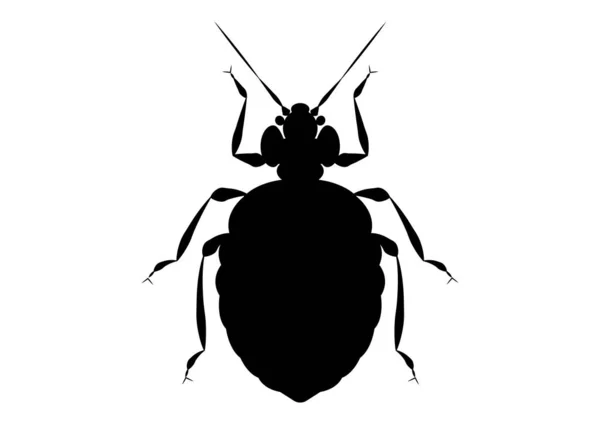 Fekete Fehér Ágy Bug Clipart — Stock Vector