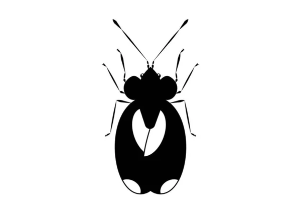 Μαύρο Και Άσπρο Bug Stephanitis Pyri Απομονώνονται Λευκό Φόντο — Διανυσματικό Αρχείο