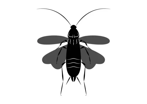 Vector Clipart Cucaracha Voladora Blanco Negro Aislado Sobre Fondo Blanco — Vector de stock