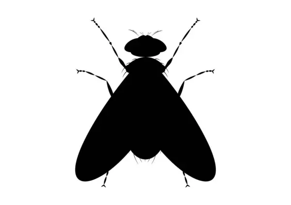 Black White Green Fly Silhouette Flat Style — Stock Vector