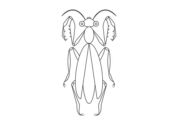 Black White Praying Mantis Clipart Zbarvení Stránky Kobylky — Stockový vektor