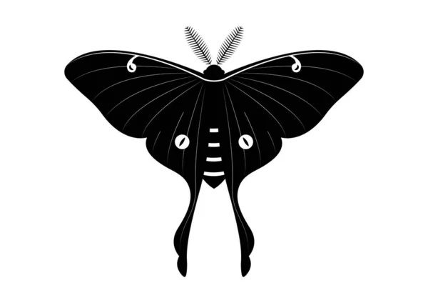Siyah Beyaz Kelebek Güvesi Clipart Vektörü Beyaz Arkaplanda Izole Edildi Telifsiz Stok Vektörler